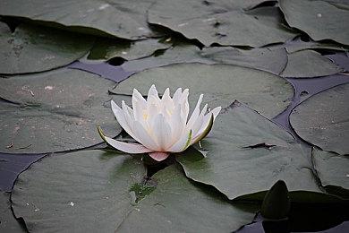 国产恐怖民俗悬疑AVG《山：临界幸存者》 即将正式上线Steam